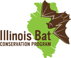 Illinois Bat Conservation Program logo, bat flying over state of Illinois