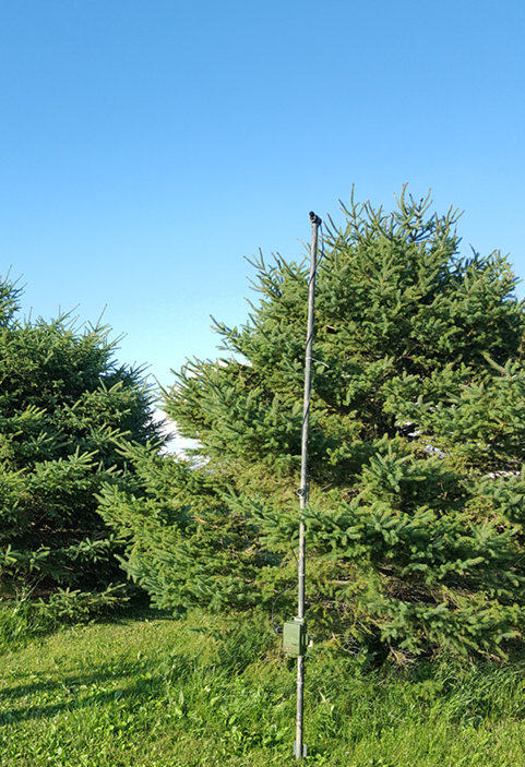 Pole with acoustic recorder and microphone attached near small tree