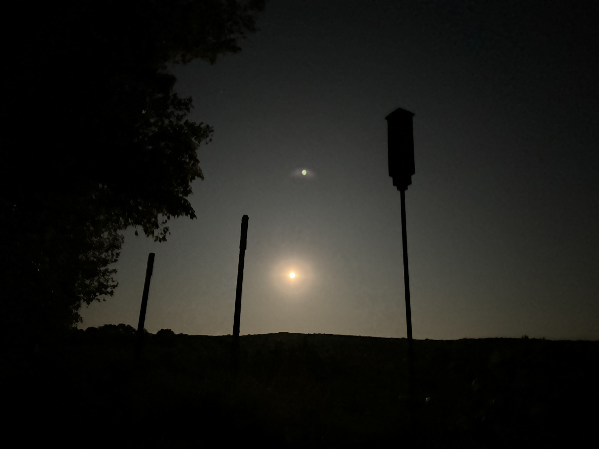 Artificial roosts at night