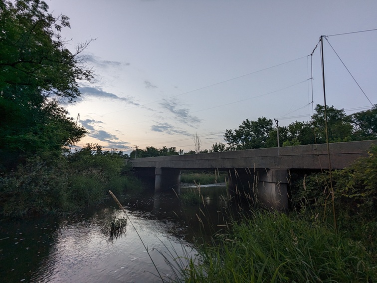 Mist net over creek