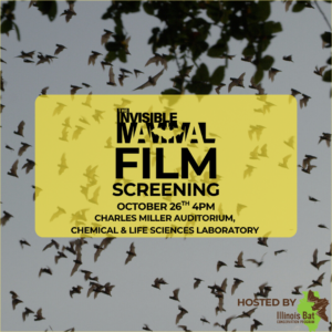Details of showing over background of bats flying in the sky