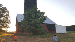 Folding chairs in place just before sunset, ready to count bats emerging from a barn. Note the chairs are positioned such that the bats will be silhouetted against the night sky.