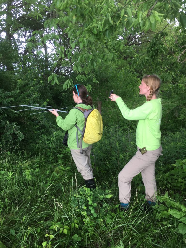 People carrying an antenna in a forest