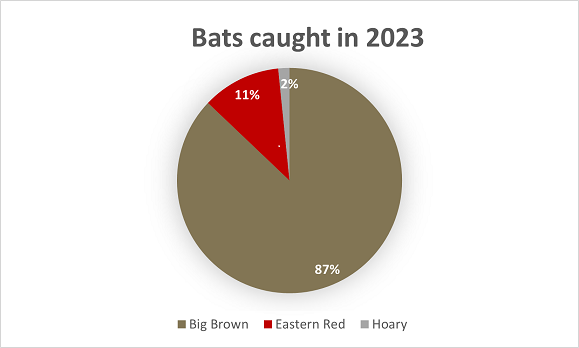 2023 Mist Netting Recap – Illinois Bat Conservation Program